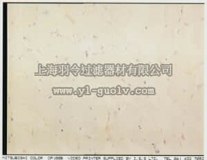 merck millipore,默克密理博,MAB1692,Anti-Dystrophin Antibody, mid-rod, clone 6D3