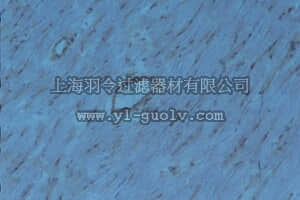 merck millipore,默克密理博,MAB2513,Anti-Integrin α1β1 Antibody, clone RA1.1
