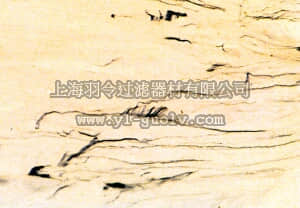 merck millipore,默克密理博,MAB308,Anti-Dopamine β Hydroxylase Antibody, clone 4F10.2