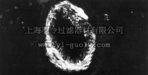 merck millipore,默克密理博,MAB3242,Anti-Smoothelin Antibody, clone R4A