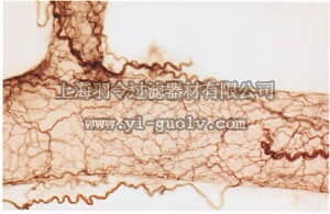 merck millipore,默克密理博,MAB365,Anti-Nerve Growth Factor Receptor Antibody, extracellular, clone 192-IgG
