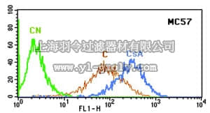 merck millipore,默克密理博,MAB4163,Anti-MDR1 Antibody, extracellular human specific Pgp, clone MC57