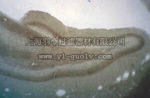 merck millipore,默克密理博,MAB5210,Anti-Phosphacan Antibody, clone 122.2