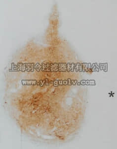 merck millipore,默克密理博,MAB5294-30UL,Anti-Neurofilament 70 kDa Antibody, clone DP5 2.7.3