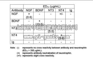 merck millipore,默克密理博,AB1528,Anti-Nerve Growth Factor-β Antibody