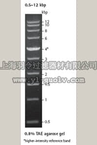 merck millipore,默克密理博,69002,Perfect DNA™ Markers, 0.5-12 kbp - Novagen