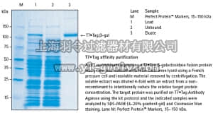 merck millipore,默克密理博,69025,T7•Tag Affinity Purification Kit