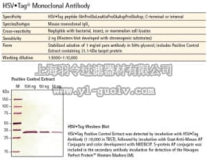 merck millipore,默克密理博,69171,HSV•Tag Monoclonal Antibody