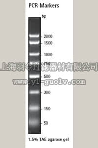 merck millipore,默克密理博,69278,PCR Markers, 50–2000 bp - Novagen