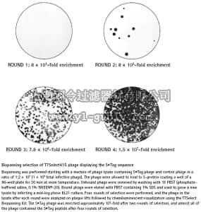 merck millipore,默克密理博,70018,T7Select Biopanning Kit