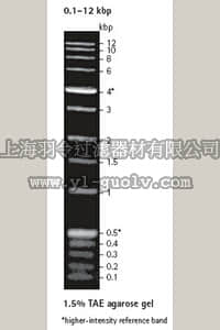 merck millipore,默克密理博,70087,Perfect DNA™ Markers, 0.1-12 kbp - Novagen