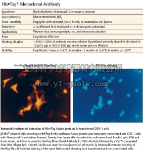 merck millipore,默克密理博,70796,His•Tag Monoclonal Antibody