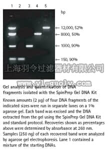 merck millipore,默克密理博,70852,SpinPrep™ Gel DNA Kit