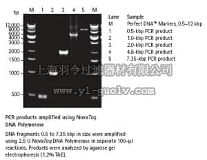 merck millipore,默克密理博,71003,NovaTaq™ DNA Polymerase