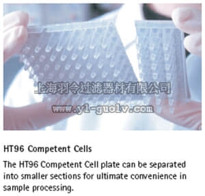merck millipore,默克密理博,71011,HT96™ NovaBlue Competent Cells - Novagen