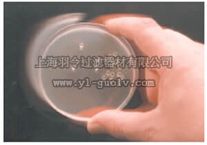 merck millipore,默克密理博,71013,ColiRollers™ Plating Beads - Novagen