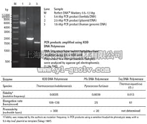 merck millipore,默克密理博,71085,KOD DNA Polymerase