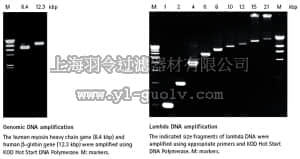merck millipore,默克密理博,71086,KOD Hot Start DNA Polymerase