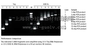 merck millipore,默克密理博,71087,KOD XL DNA Polymerase