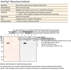 merck millipore,默克密理博,71127,Nus•Tag™ Monoclonal Antibody