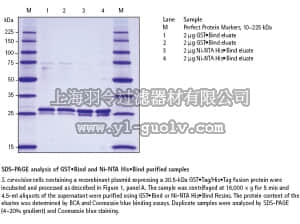 merck millipore,默克密理博,71186,YeastBuster™ Protein Extraction Reagent