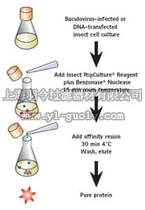 merck millipore,默克密理博,71187,Insect PopCulture Reagent