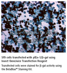 merck millipore,默克密理博,71259,Insect GeneJuice Transfection Reagent