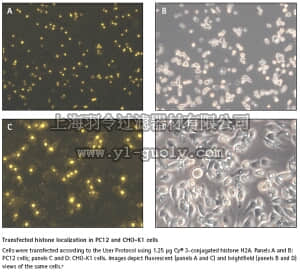 merck millipore,默克密理博,71281,ProteoJuice™ Protein Transfection Reagent