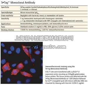 merck millipore,默克密理博,71549,S•Tag™ Monoclonal Antibody