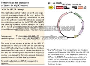 merck millipore,默克密理博,71571,pET-52 3C/LIC Vector Kit - Novagen