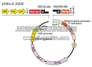 merck millipore,默克密理博,71576,pTriEx™-6 3C/LIC Vector Kit - Novagen