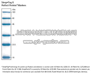 merck millipore,默克密理博,71614,Strep•Tag II Perfect Protein™ Markers, 16–100 kDa, Lyophilized