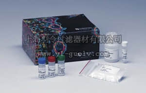 merck millipore,默克密理博,S7100,ApopTag Peroxidase In Situ Apoptosis Detection Kit