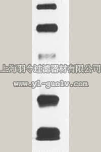 merck millipore,默克密理博,S7151,OxyBlot™ Protein Standard