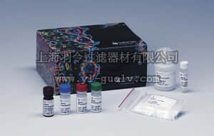merck millipore,默克密理博,S7165,ApopTag Red In Situ Apoptosis Detection Kit