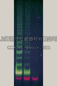 merck millipore,默克密理博,S7707,TRAPeze XL Telomerase Detection Kit