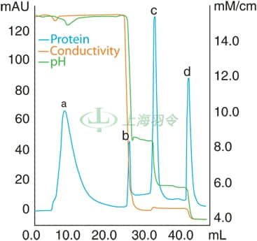 MEP HyperCel Resin Distinct Separation of Standard Protein Mixture
