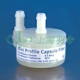Mini&nbsp;Profile 囊式过滤器