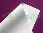 GH Polypro 膜