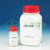 &nbsp;Lysine HyperD® 赖氨酸亲和层析介质