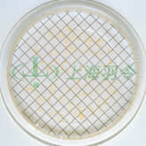 Ampoule Media for Microbiological Analysis; M-TGE Broth, S. epidermidis