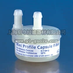 pall,颇尔,Mini Profile 囊式过滤器,12073, 12074, 12070, 12071, 12072