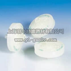 pall,颇尔,配备Mustang E滤膜的Acrodisc 滤器,MSTG25E3, MSTG25KIT