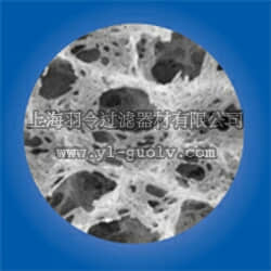 pall,颇尔,Nylaflo 过滤膜,66600, 66601, 66602, 66603, 66604, 66606, 66607, 66608, 66609, 66610