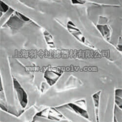 pall,颇尔,聚丙烯/聚乙烯材质深层过滤膜片,60343, 60344, 60340, 60346, 60341, 60345, 60342