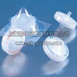 pall,颇尔,配备Mustang Q (S)滤膜的Acrodisc Acrodisc滤器,MSTG25Q6, MSTG25S6, MSTG25KIT