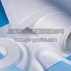 pall,颇尔,BioTrace PVDF 转印膜,66594, 66542, 66547, 66543