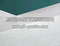 pall,颇尔,Ultipor 尼龙 6,6 和 N6,6 Posidyne 膜,