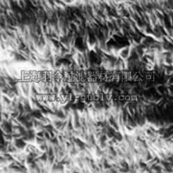 pall,颇尔,FluoroTrans PVDF 转印膜,PVM020C-160, PVM020C-195, PVM020C1015, PVM020C-196, PVM020C2020, PVM020C-099, BSP0158, BSP0157, BSP0159, BSP0161