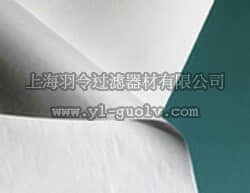 pall,颇尔,Versapor R 膜,